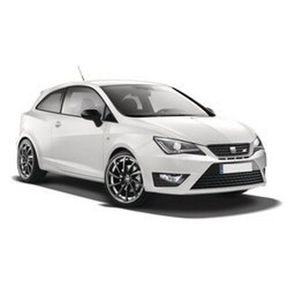Ibiza Cupra IV 2009--2018