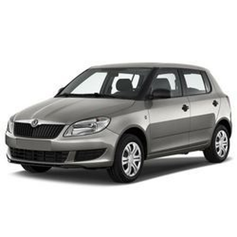 Skoda Fabia II, цена установки