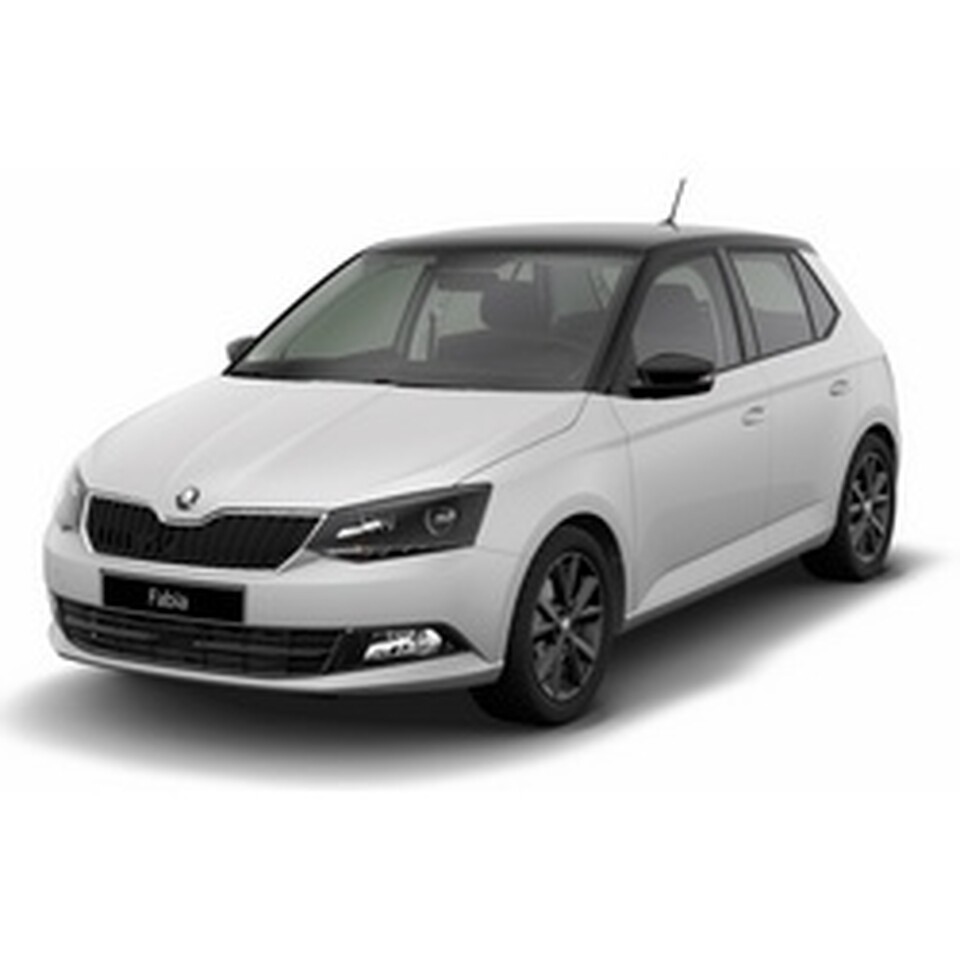 Skoda Fabia III, цена установки