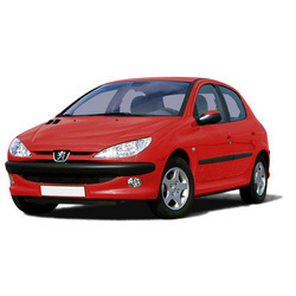 Peugeot 206, цена установки