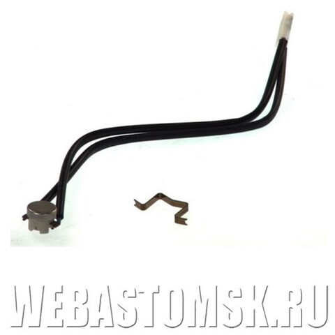 Датчик пламени Eberspacher Airtronic D1LC/B1LC