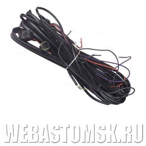 Жгут проводов основной Eberspacher Hydronic 10