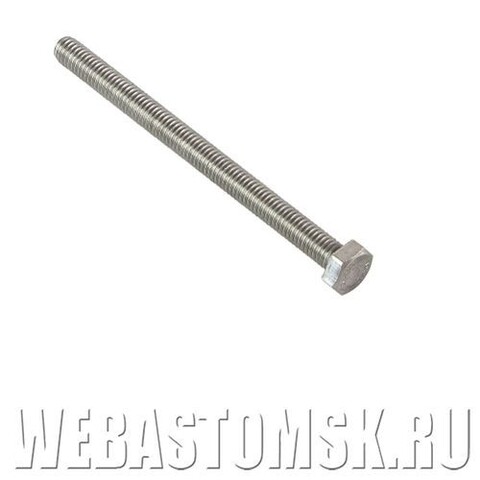 Болт М6х100 Eberspacher HYDRONIC