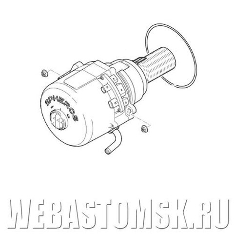 Горелка в сборе Webasto Thermo G